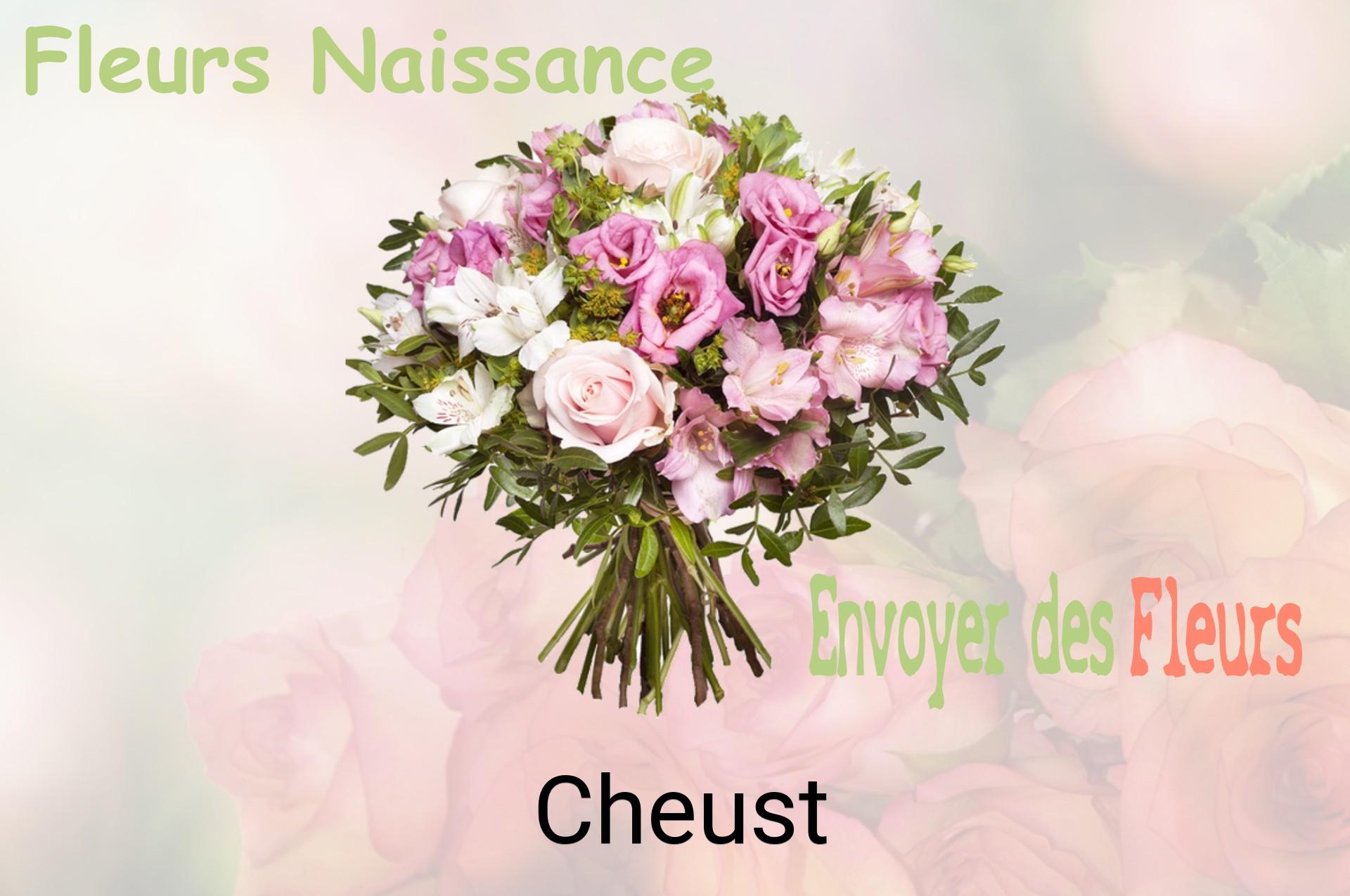 Bouquet de fleurs de naissance livré à Cheust