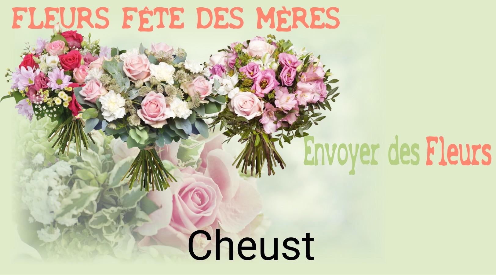 Bouquet de Fête des Mères livré à Cheust